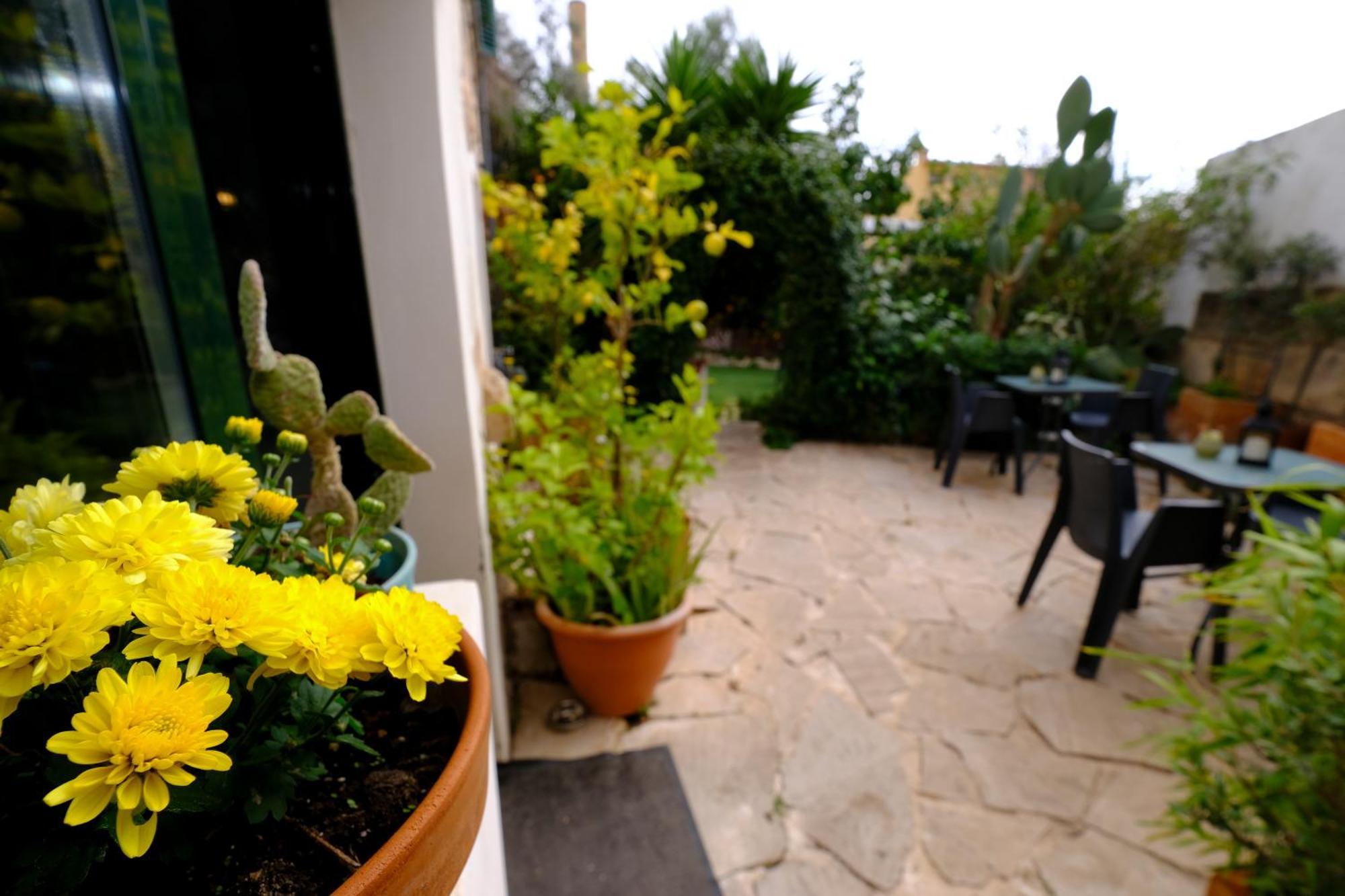 Casa Caimari Guest House, For Mountain Lovers! Exterior foto